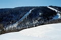 DSC_7949_DxO_raw
