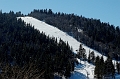 DSC_7951_DxO_raw