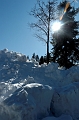 DSC_7956_DxO_raw