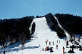 DSC_7958_DxO_raw