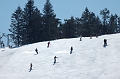 DSC_7960_DxO_raw