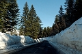 DSC_7973_DxO_raw