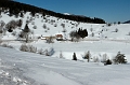 DSC_7979_DxO_raw