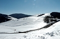 DSC_7982_DxO_raw