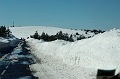 DSC_7986_DxO_raw