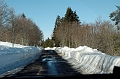 DSC_7999_DxO_raw