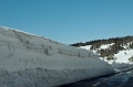 DSC_8004_DxO_raw